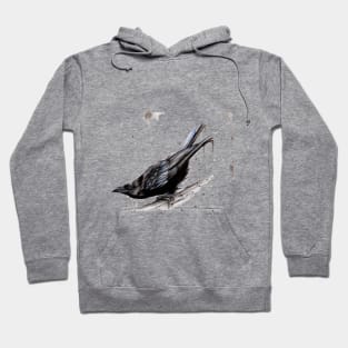 Gothic Raven Art Hoodie